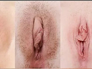স্বামী চোদাচুদির ভিডিও বাংলা ও স্ত্রী,
