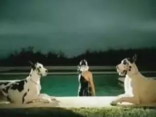 মেয়ে সমকামী, সুন্দরী বিদেশি চোদাচুদি বালিকা